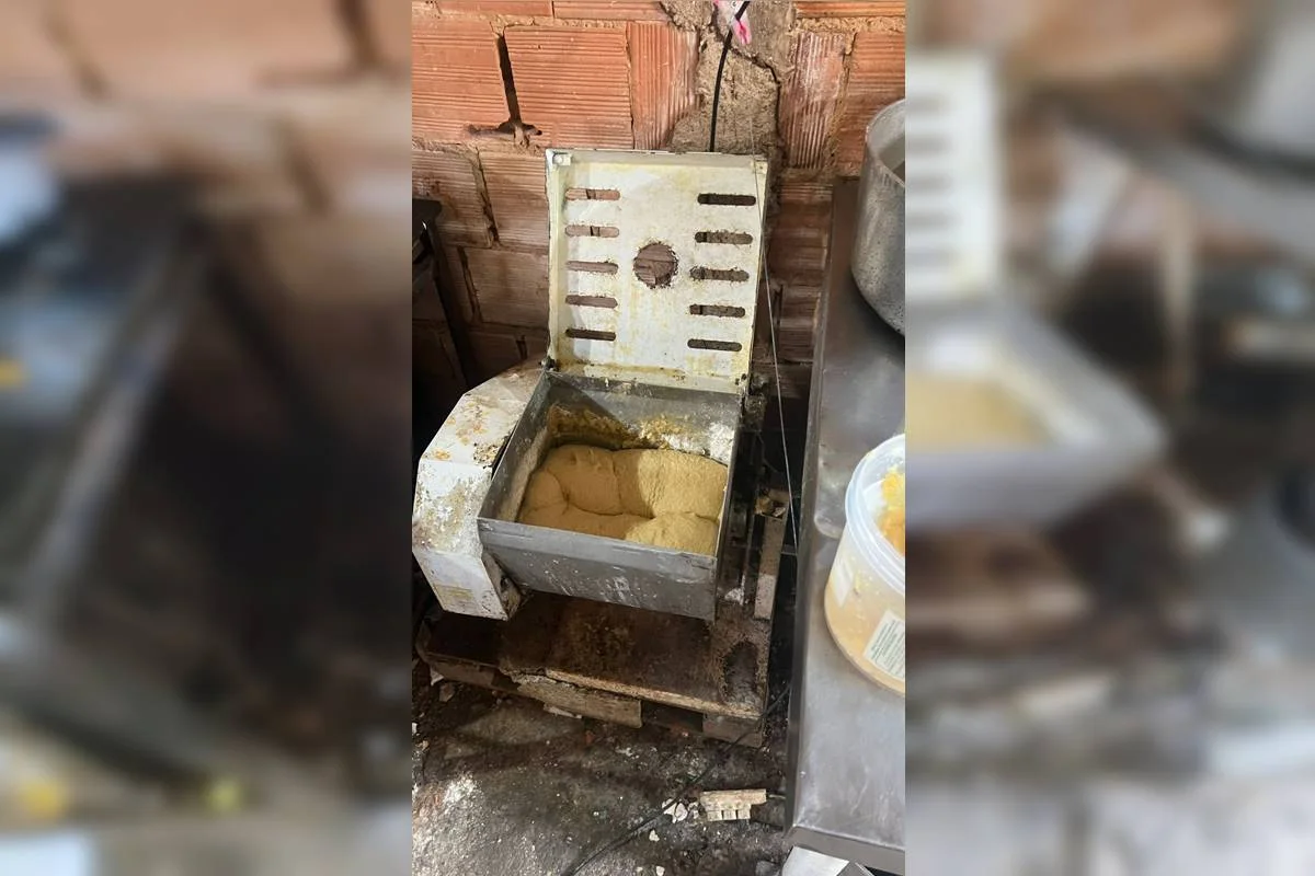 Salgados feitos em fábrica infestada de baratas eram vendidos em feira de Goiânia e Aparecida de Goiânia