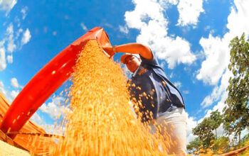 Brasil estima colheita de 354,8 milhões de toneladas de grãos na safra 2025/26