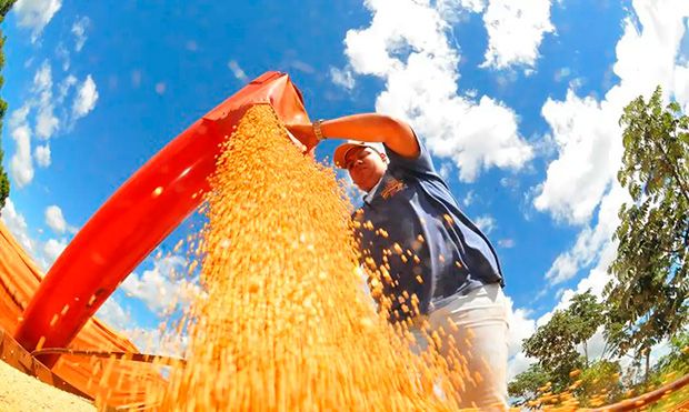 Brasil estima colheita de 354,8 milhões de toneladas de grãos na safra 2025/26