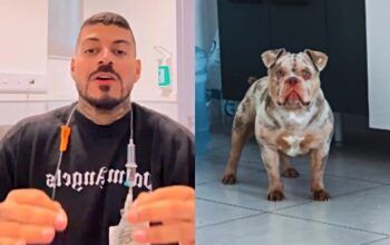 Cadeirante acorda sem dedo do pé e descobre que cachorro tinha comido