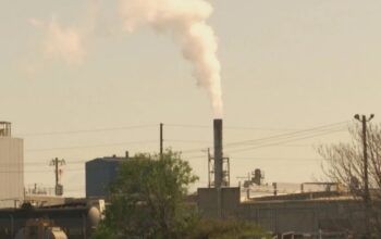 China e UE aderem ao plano do Brasil de padronizar mercado de carbono