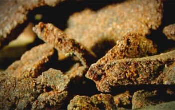 Cocaína negra é apreendida em mansão de luxo em Manaus