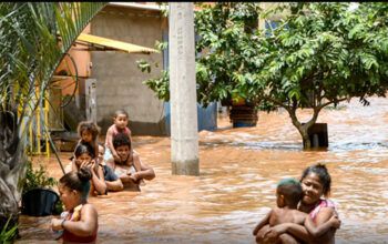 Congresso  derruba vetos de Lula sobre licenciamento ambiental