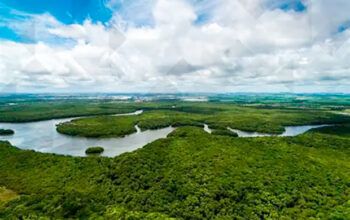 COP30 Noruega vai investir US$ 3 bilhões no fundo de florestas proposto pelo Brasil