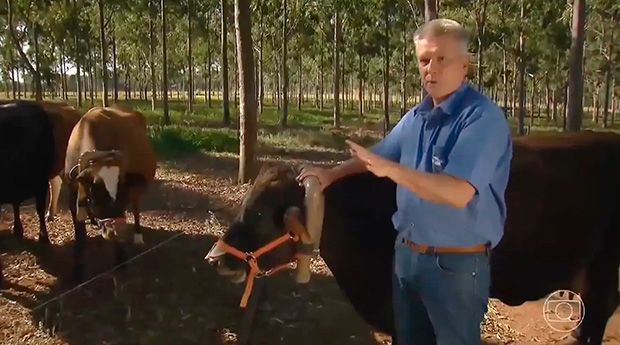 Globo corta matéria sobre arroto bovino ao noticiar a prisão de Bolsonaro