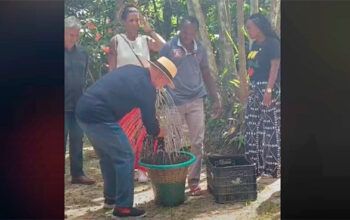 Lula debulha açaí e Janja dança carimbó em comunidade quilombola no Pará