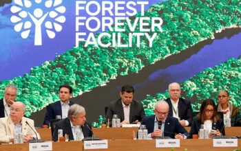 Lula lança em Belém fundo para preservação de florestas tropicais