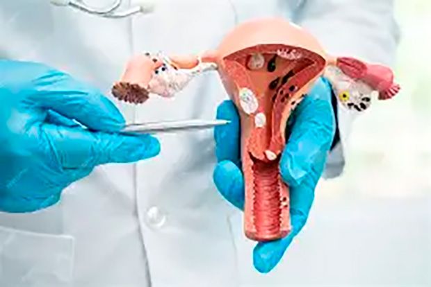 OMS divulga primeira diretriz global para ampliar cuidados da infertilidade