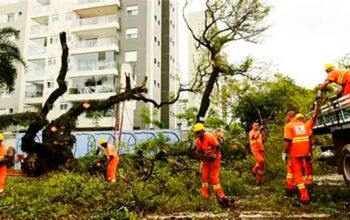 São Paulo tem 24 quedas de árvores e alerta severo para temporais