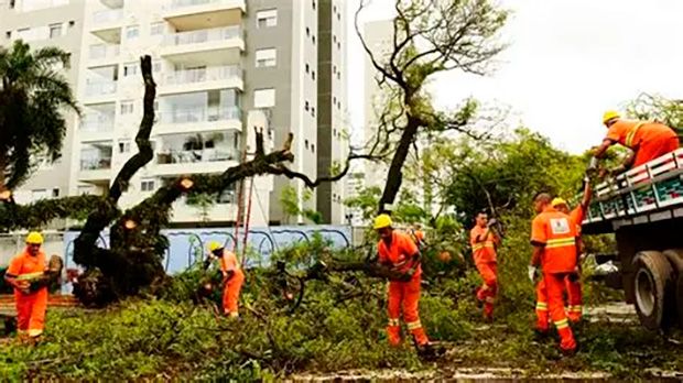 São Paulo tem 24 quedas de árvores e alerta severo para temporais