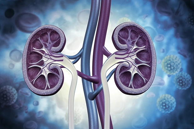 Técnica moderna de diálise reduz mortalidade em 68% no SUS