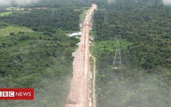 Trump diz que Amazônia foi destruída para construção de estrada no Brasil