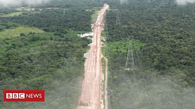 Trump diz que Amazônia foi destruída para construção de estrada no Brasil