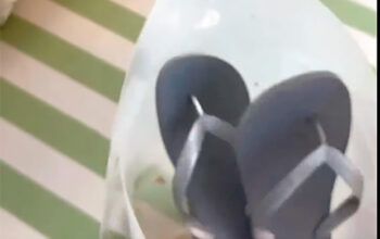 Bia Kicis reage à propaganda da Havaianas e joga sandália no lixo