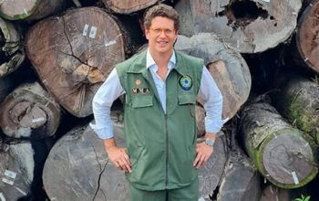 STF avança em caso que envolve Salles em contrabando florestal