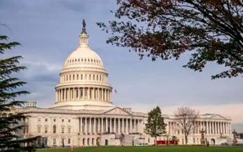 Deputados do Partido Democrata criticam tentativas de Trump de minar a democracia no Brasil e proteger Bolsonaro