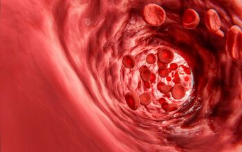 Médico vascular lista os melhores vegetais para a saúde das artérias