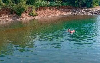 Mulher morre afogada no Rio Mampituba após ficar mais de uma hora submersa em SC