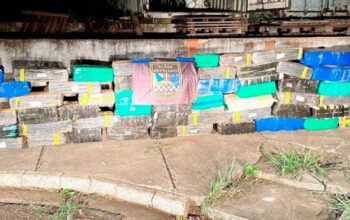 PM acha 1,3 tonelada de maconha em caminhão: parecia grão, mas era erva