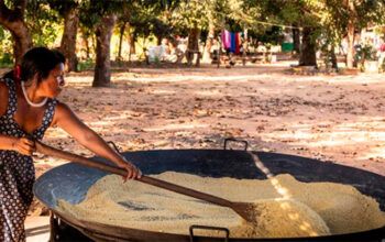 Fundo Amazônia destina R$ 96,6 mi à Conab para ampliar acesso a mercados de produtos da região
