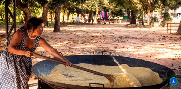 Fundo Amazônia destina R$ 96,6 mi à Conab para ampliar acesso a mercados de produtos da região