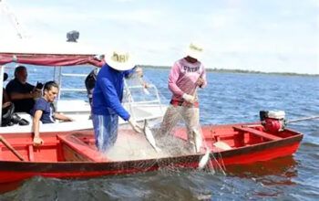 Seguro-defeso - Pescadores profissionais têm até dia 31 para comprovar atividade
