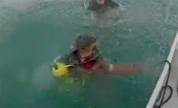 Bombeiros passam a noite em busca de jovem que sumiu no Lago Corumbá