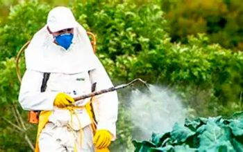 Brasil bate recorde de liberações de agrotóxicos e biológicos em 2025, diz governo