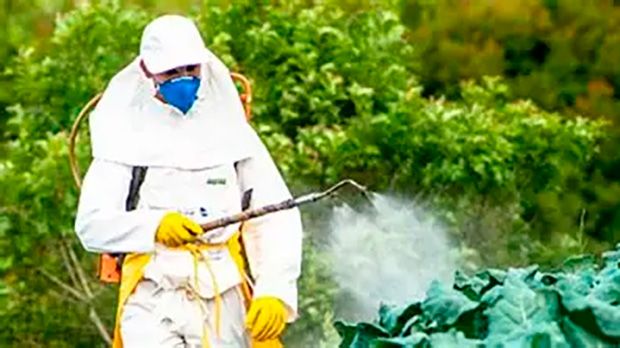 Brasil bate recorde de liberações de agrotóxicos e biológicos em 2025, diz governo