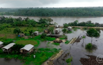 Cheia antecipada do rio Purus afeta moradores e produtores rurais no sul do Amazonas