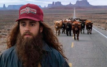 “Forrest Golpe”: os melhores memes da caminhada de Nikolas Ferreira