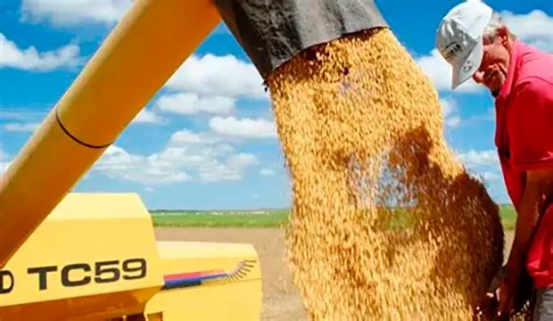 IBGE prevê safra recorde de 346 milhões de toneladas em 2025