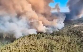 Incêndios florestais no Chile já deixam 16 mortos e 50 mil desalojados