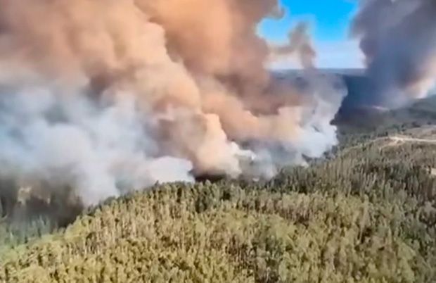 Incêndios florestais no Chile já deixam 16 mortos e 50 mil desalojados