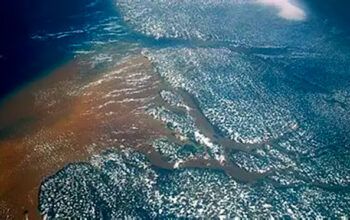 Petrobras amplia perdas na Bolsa com vazamento na Foz do Amazonas