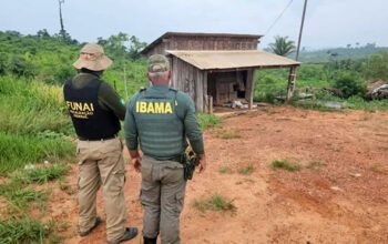 PF prende suspeito de assassinato de parceiro do Ibama na TI Apyterewa