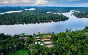 Fundo Amazônia aplica R$ 80 milhões para produção agrícola comunitária