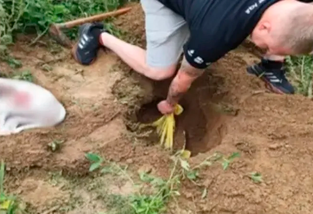 Homem é preso em SC por matar dois cães a machadadas