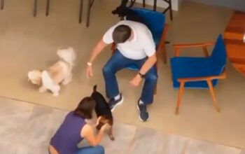 “Acabou o sossego”: o que dizem os vizinhos após volta de Bolsonaro à domiciliar