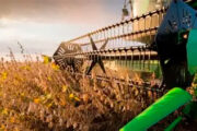 Agro cresce 11,7%, impulsiona PIB e ganha participação na economia