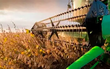 Agro cresce 11,7%, impulsiona PIB e ganha participação na economia