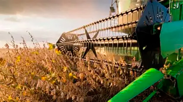 Agro cresce 11,7%, impulsiona PIB e ganha participação na economia