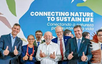 Lula anuncia expansão de áreas protegidas no Pantanal