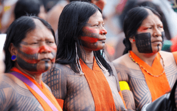 Campanha vai aplicar 89 mil doses de vacinas em territórios indígenas