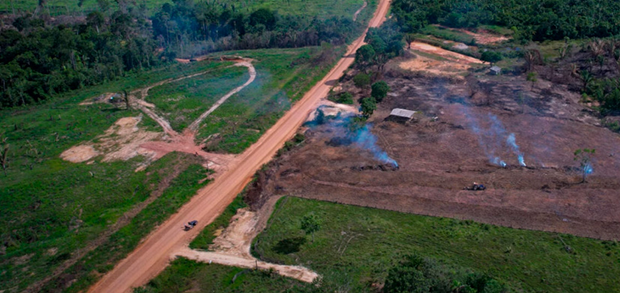 Observatório do Clima vai à Justiça e pode anular os editais do Dnit para pavimentação da BR-319
