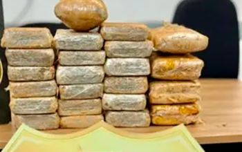 PF apreende mais de uma tonelada de maconha em rodovia paulista