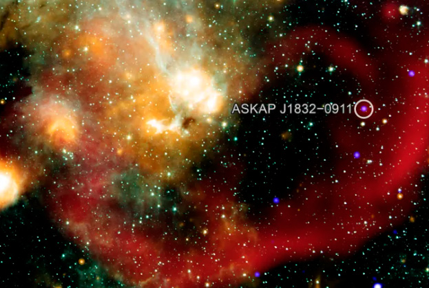 Estrela misteriosa desafia cientistas com sinais inéditos a cada 44 minutos