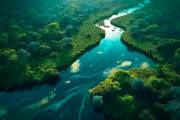 Amazônia registra menor desmatamento em dez anos no primeiro semestre