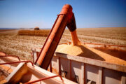 Governo Lula anuncia MP para socorrer agricultores endividados