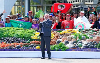 Lula vence a guerra contra a fome no Brasil, certifica a FAO